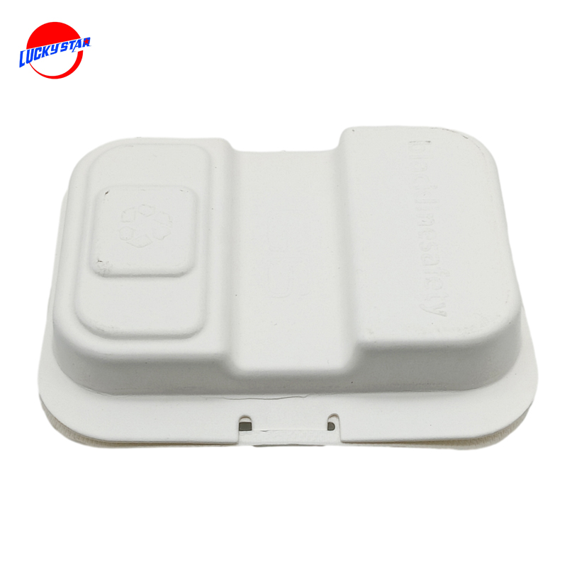 Electronics bagasse box